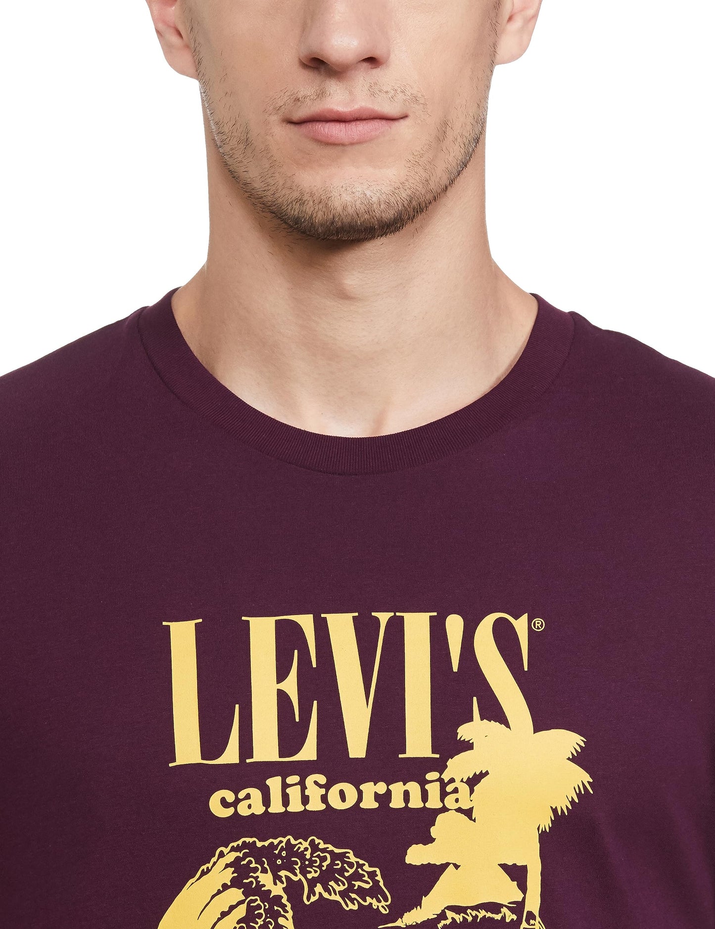 Levi's Men's Regular Fit T-Shirt (16960-1202_Purple)